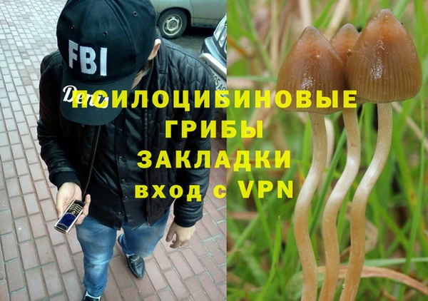 гашишное масло Володарск