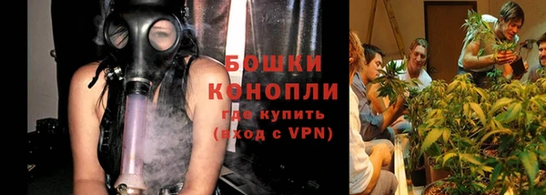 стаф Вяземский