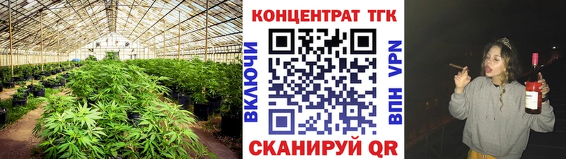 ТГК THC oil  Купить закладки  Кировск 