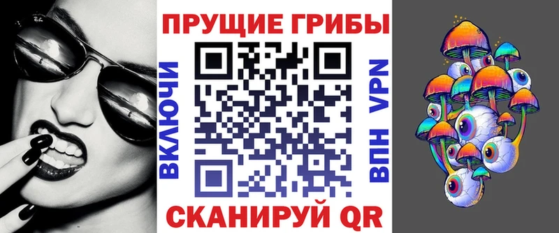 Галлюциногенные грибы Psilocybine cubensis  Купить закладки  Кировск 